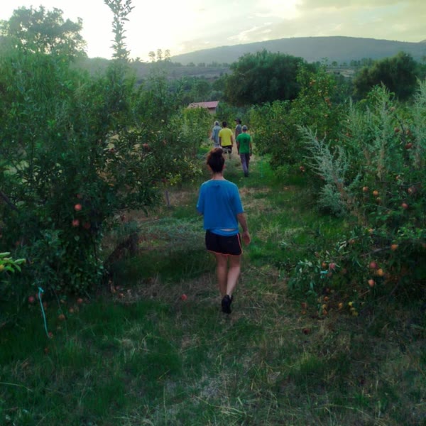 Recogiendo fruta en los huertos ecológicos de la Sierra de Gata