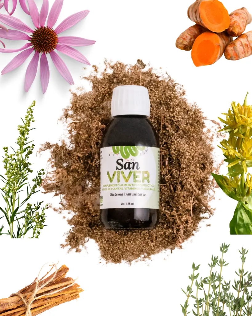 Diseño sin título(3).webp