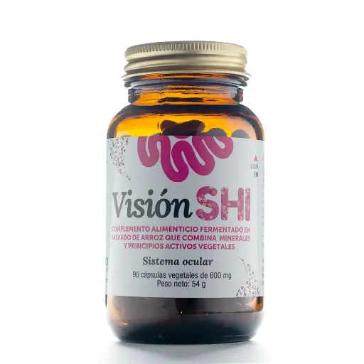 Vision SHI